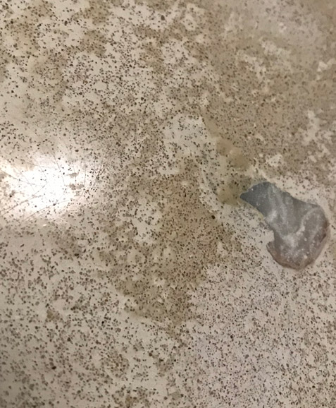 Creating a polished 
concrete surface on 
the walls